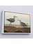 Çerçeveli John James Audubon'un 'birds Of America' TABLOSU-7011 4