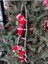 Happland Yılbaşı Dekoru Merdivene Tırmanan Noel Baba 57 cm Yeni Yıl Süs 5