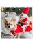 Köpek ve kedi için kırmızı-beyaz Noel Baba takım seti, şık ve eğlenceli görünüm sağlar. 2
