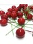 100 Adet Kırmızı Kokina Cicitop Süsleme ve Paketleme Yılbaşı Süsü Mini Telli Berry Yeniyıl Teması 3
