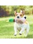 Sesli Yumuşak Dokulu Köpek Oyuncağı 1