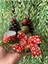 15CM Yeniyıl Kozalaklı Yılbaşı Süsü, Kozalaklı Tealight Mum Masa Dekoru,noel Kozalaklı Dekoratif Mu 2