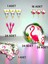 24 Kişilik Flamingo Temalı Premium Set - Doğum Günü Parti ve Eğlenceli Etkinlikler 1