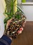 Apple iPhone 16 Pro Uyumlu Leopar Desenli Silikon Kılıf 3