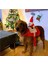 Köpek Kedi Noel Baba Kostümleri 2