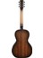 Mahogany Parlor Elektro Akustik Gitar 3