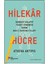 Alfa Kalem+Hilekar Hücre / Athena Aktipis (Yeni) Koç Üni Kitap 1