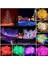 10MT Rgb 100 LED Fişli Noel Parti Yılbaşı Ağaç Dekoratif Aydınlatma Lambası Animasyonlu Süsleme 1