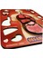 Eğitici Ahşap Organlar Temalı Yapboz ve Puzzle Seti, 10 Parça, 20x25 cm 4