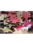 Spiderman Örümcek Bakışı 255 Parça Puzzle Yapboz Mdf (Ahşap) 2