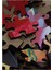 Spiderman Örümcek Bakışı 255 Parça Puzzle Yapboz Mdf (Ahşap) 4