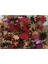 Spiderman Örümcek Bakışı 255 Parça Puzzle Yapboz Mdf (Ahşap) 5