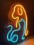 Neon LED Duvar Dekoratif Aydınlatma -Köpek, 22X26CM- 4