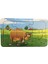 Ahşap Puzzle Ilk Yapbozum 3 Adet 6 Parçalı 18X11CM 3