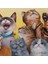 Kedi-Kuş, Kuş-Kedi - Yağlı Boya 5