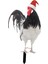 Heykeli Tavuk Dekoru Çim Avlusu (Yurt Dışından) 4