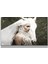 Premium Glasses ^#sanatsal Yapayzeka, Creative Art, Pop Art Temalı Cam Tablo 243 1