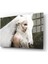 Premium Glasses ^#sanatsal Yapayzeka, Creative Art, Pop Art Temalı Cam Tablo 243 2
