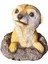 Meerkat Heykeli I Dekoratif Süsleri Çim Heykeli (Yurt Dışından) 1