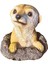 Meerkat Heykeli I Dekoratif Süsleri Çim Heykeli (Yurt Dışından) 2