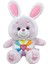 Gökkuşağı Peluş Bebek Bakım Ayı Bebek Kucaklama Ayı Peluş Oyuncak 40 cm (Yurt Dışından) 1