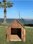 Ela Woodworking Ahşap Büyük Boy Köpek Kulübesi 2