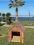 Ela Woodworking Ahşap Büyük Boy Köpek Kulübesi 4
