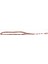 Kapsül Kesim Çınar Ağacı Tesbih 8 x 12 mm 4