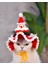 Yılbaşı Kedi Şapkası Hediye Noel Kedi Şapkası Sevimli Hayvan Noel Evcil Hayvan Aksesuarı 2