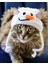 Yılbaşı Kedi Şapkası Hediye Kardan Adam Kedi Şapkası Sevimli Hayvan Noel Evcil Hayvan Aksesuarı 1