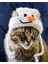 Yılbaşı Kedi Şapkası Hediye Kardan Adam Kedi Şapkası Sevimli Hayvan Noel Evcil Hayvan Aksesuarı 4