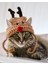 Kedi Şapkası Hediye Geyik Kedi Şapkası Sevimli Hayvan Noel Evcil Hayvan Aksesuarı 1