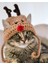 Kedi Şapkası Hediye Geyik Kedi Şapkası Sevimli Hayvan Noel Evcil Hayvan Aksesuarı 2