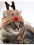 Kedi Şapkası Hediye Geyik Kedi Şapkası Sevimli Hayvan Noel Evcil Hayvan Aksesuarı 3