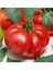 Marmande Domates Tohumu 1 gr Pınaper Tohumculuk 1