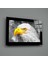 Kartal Cam Tablo 2