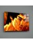 Bruce Lee Cam Tablo 3