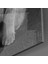 Kedi Cam Tablo 3