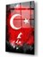 Atatürk Silüeti ve Türk Bayrağı Cam Tablo 1