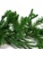 Vıp 2.50 Metre 32 cm Çap Yeşil Garland Yeşil Çam Dalı Yılbaşı Süsleri Green Garland Decor Christmas 5