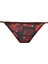 Tül Slip Külot-Fall in Love D5603AX24AU 1