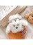 Apple 1/2 Için Teddy Dog Karikatür Koruyucu Kulaklık Kılıfı (Yurt Dışından) 2