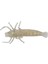 Silikon Karides 5cm Sp1 10 Lu Paket 1