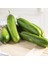 Atalık Çengelköy Salatalık Tohumu Cucumis Sativus 30 Adet Tohum 5