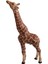 Figürü, Zürafa C-Zürafa (Yurt Dışından) 3