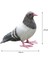 Simülasyon Güvercin Heykeli Dekor Canlı Icı El I Heykelleri Ayakta Gri (Yurt Dışından) 4
