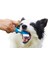 Evcil Hayvan Oyuncakları Isırmaya Dayanıklı Diş Temizleyici Köpek Oyuncakları (Yurt Dışından) 2