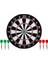 Dart Game Dart Orta Boy 38 cm 1