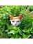 Kedi Nanesi Tohumu Catnip Nepeta Cataria 2