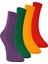 Foursolos Kadın Pamuk Soket, 4'lü Kutu Çorap Yeşil, Mor, Sarı, Kırmızı 1
